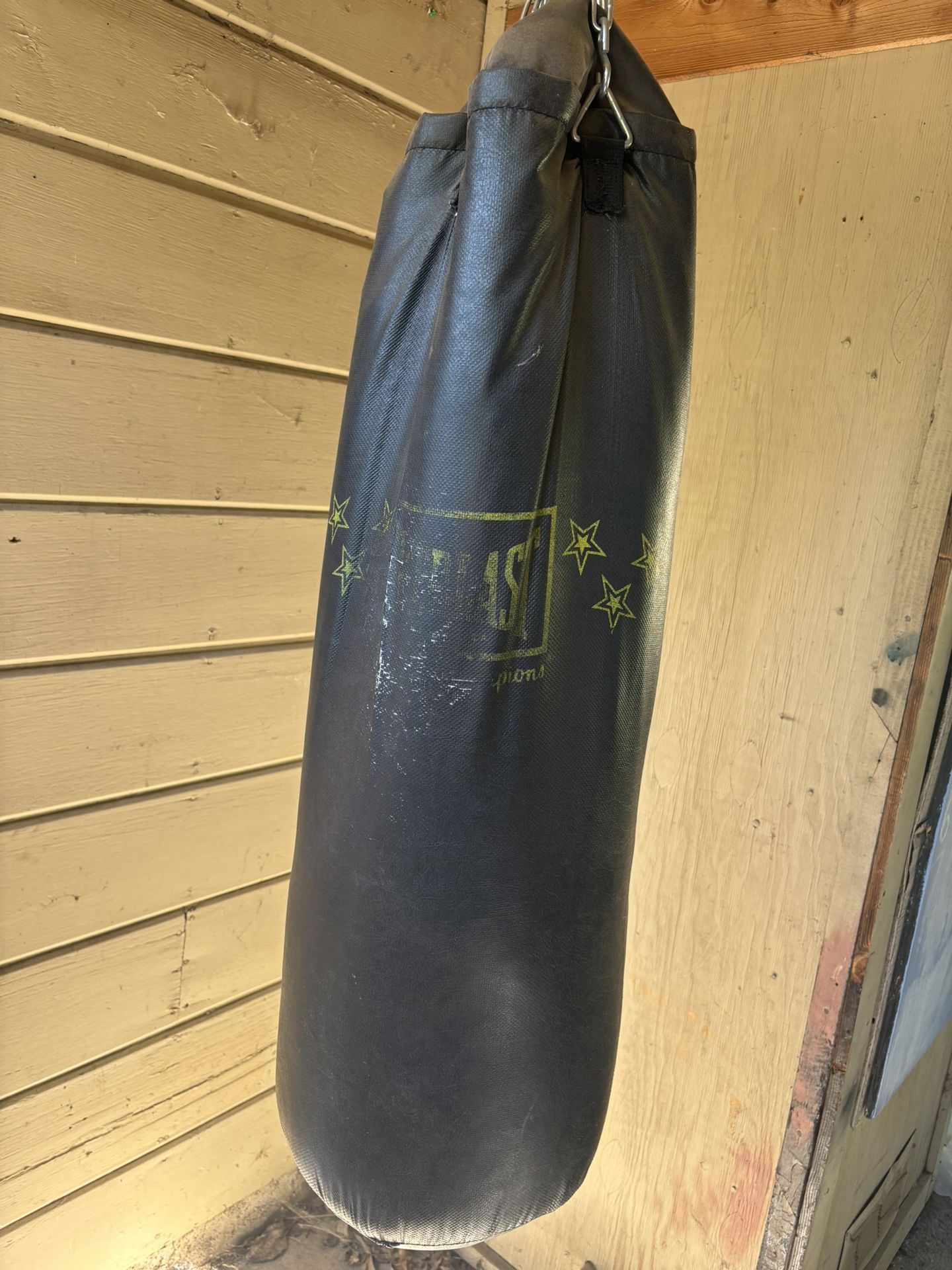 Heavy And Speed Bag