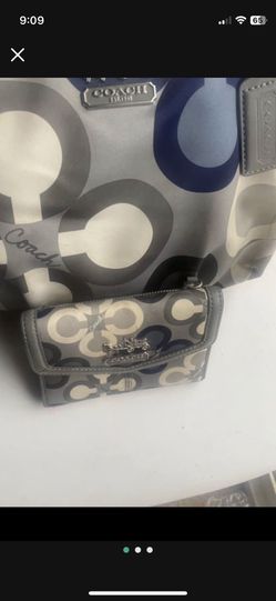 Purse And Matching Wallet 