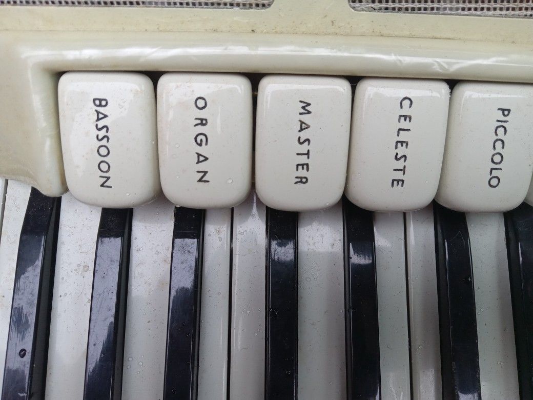 Vintage Accordian