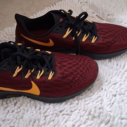 Nike Zoom Pegasus 36 Redskin Washington Shoes