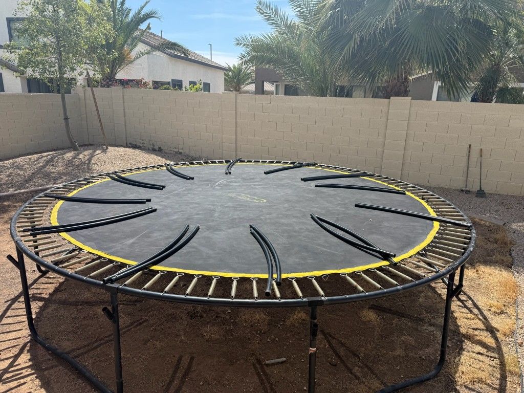 Trampoline 
