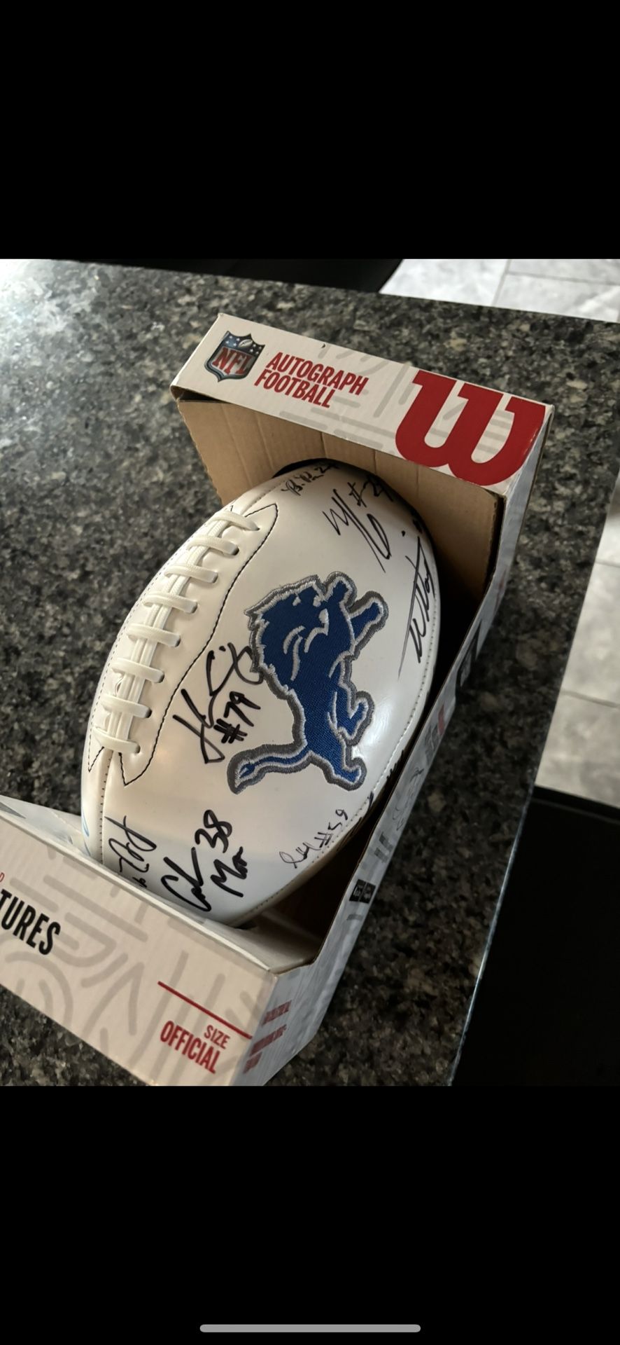 2024 Detroit Lions Football