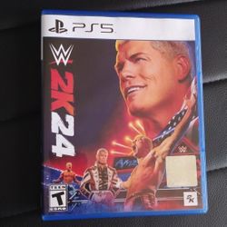 Wrestling Video Game 2024