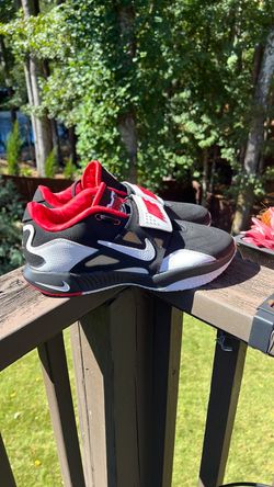 LeBron Primetime Nikes 10.5