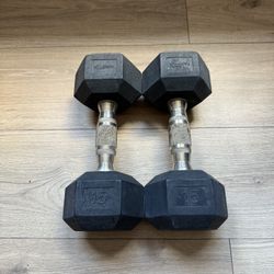 2 15Lb Dumbbells 