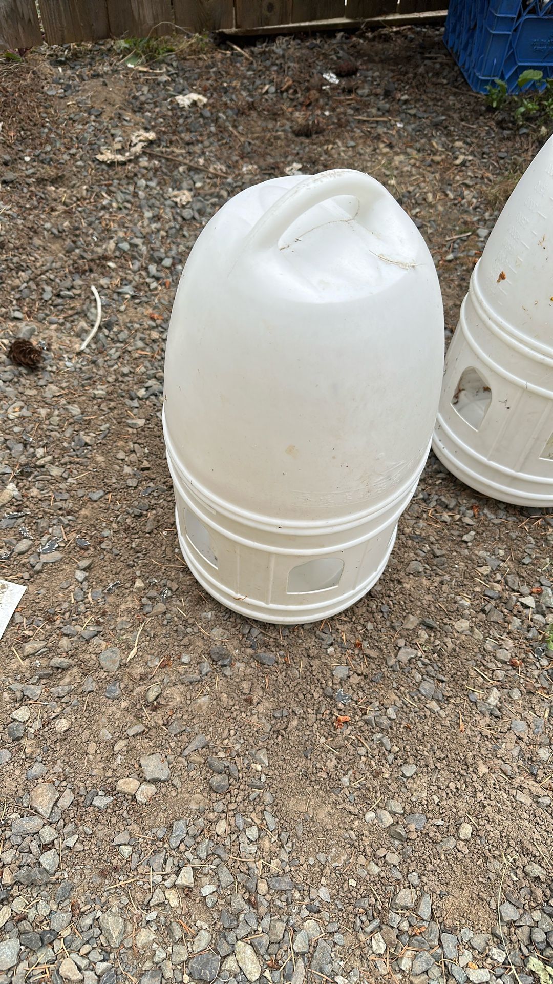 Poultry Water Feeder For Chicken/pigeons