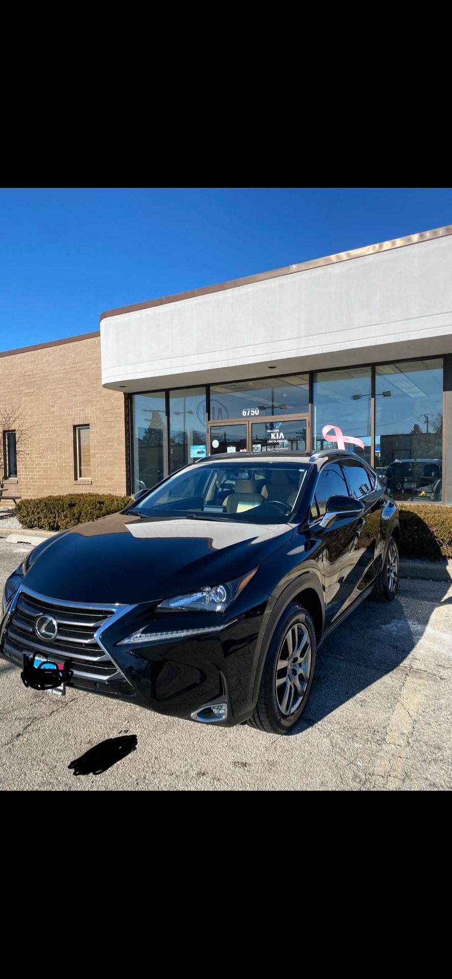 2015 Lexus NX