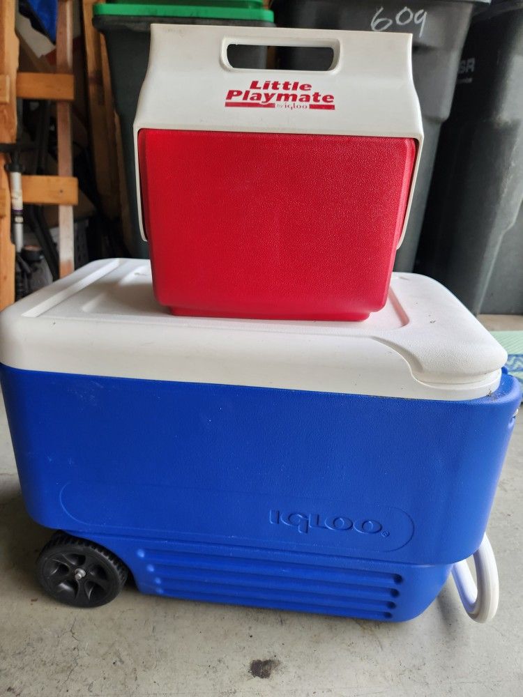 IGLOO COOLERS