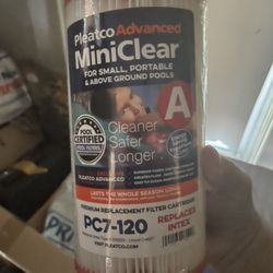 Intex Pool Filter  10 Dollars /each