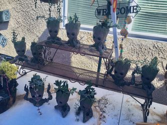 GROOT  PLANTERS With SUCCULENTS