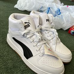 Puma