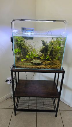 20g Fish Tank + Stand + Extras