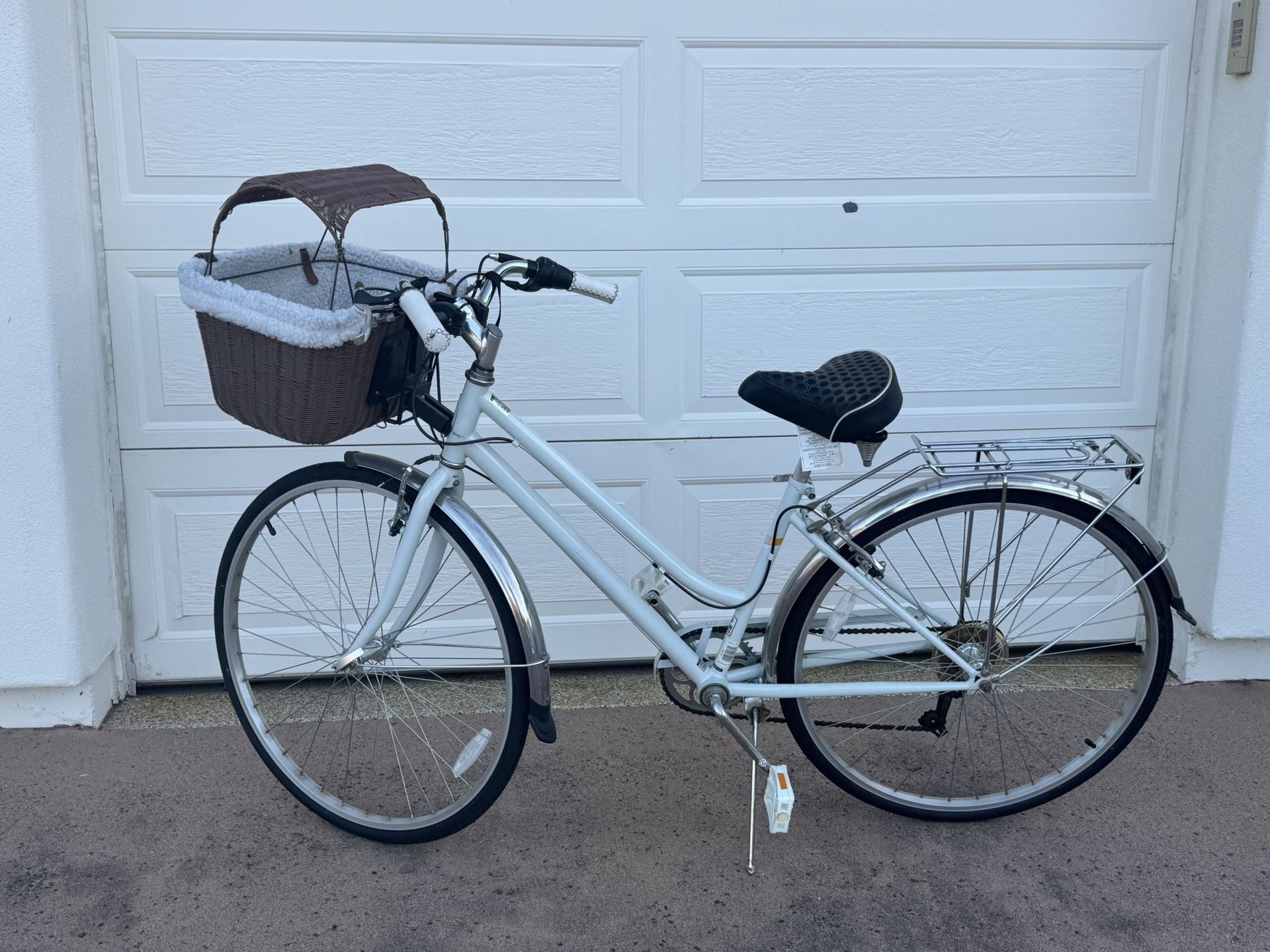 Adult Schwinn Bike