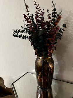 House plant  Decor