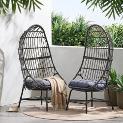 Brand new 2pcs egg chairs