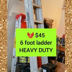 🦍 HEAVY DUTY 6' 🪜 LADDER