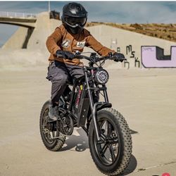 Windone e-2 Fat tire off-road adventure (750W)