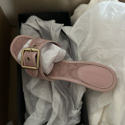 New Coach Margot Heels 