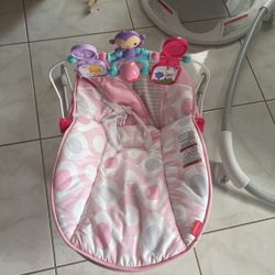 Fisher- Price Toddler Swing
