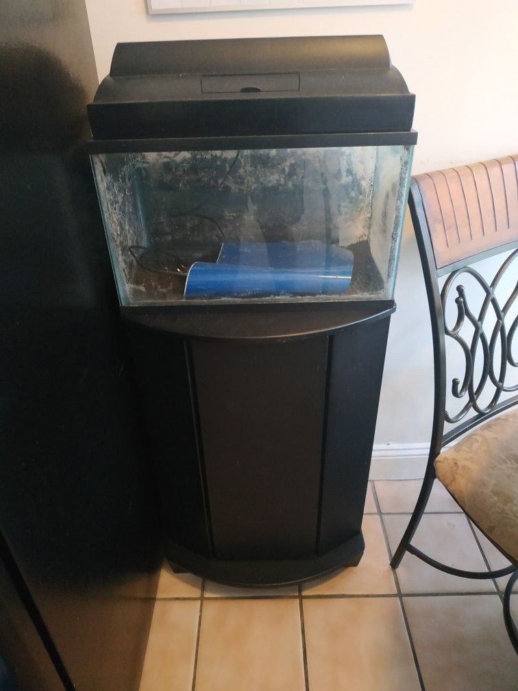 Aquarium and stand
