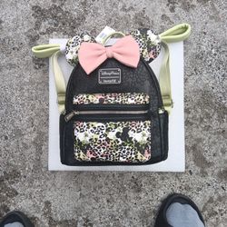 DisneyWorld Backpack/Purse