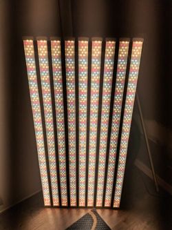 SZHLUX PT6000 600W LED Grow Light