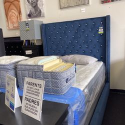 $5 Down Multi Color 6ft Bed Frame