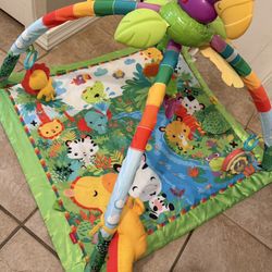 Rainforest Play Gym 