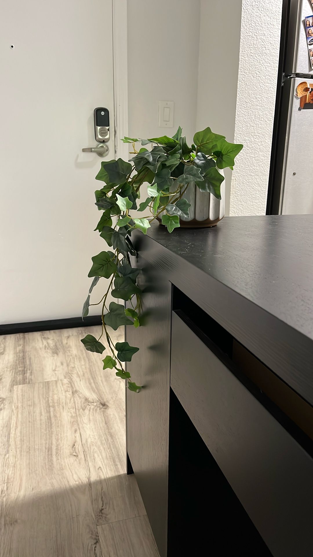 White Encased Faux Vine Plant