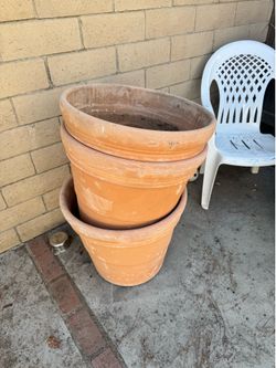 Terracotta Pot