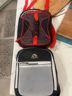 2/ $5 Igloo Insulated Lunch Bag Coolers – Set of 2