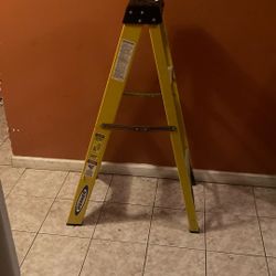 Werner 4’ Ladder
