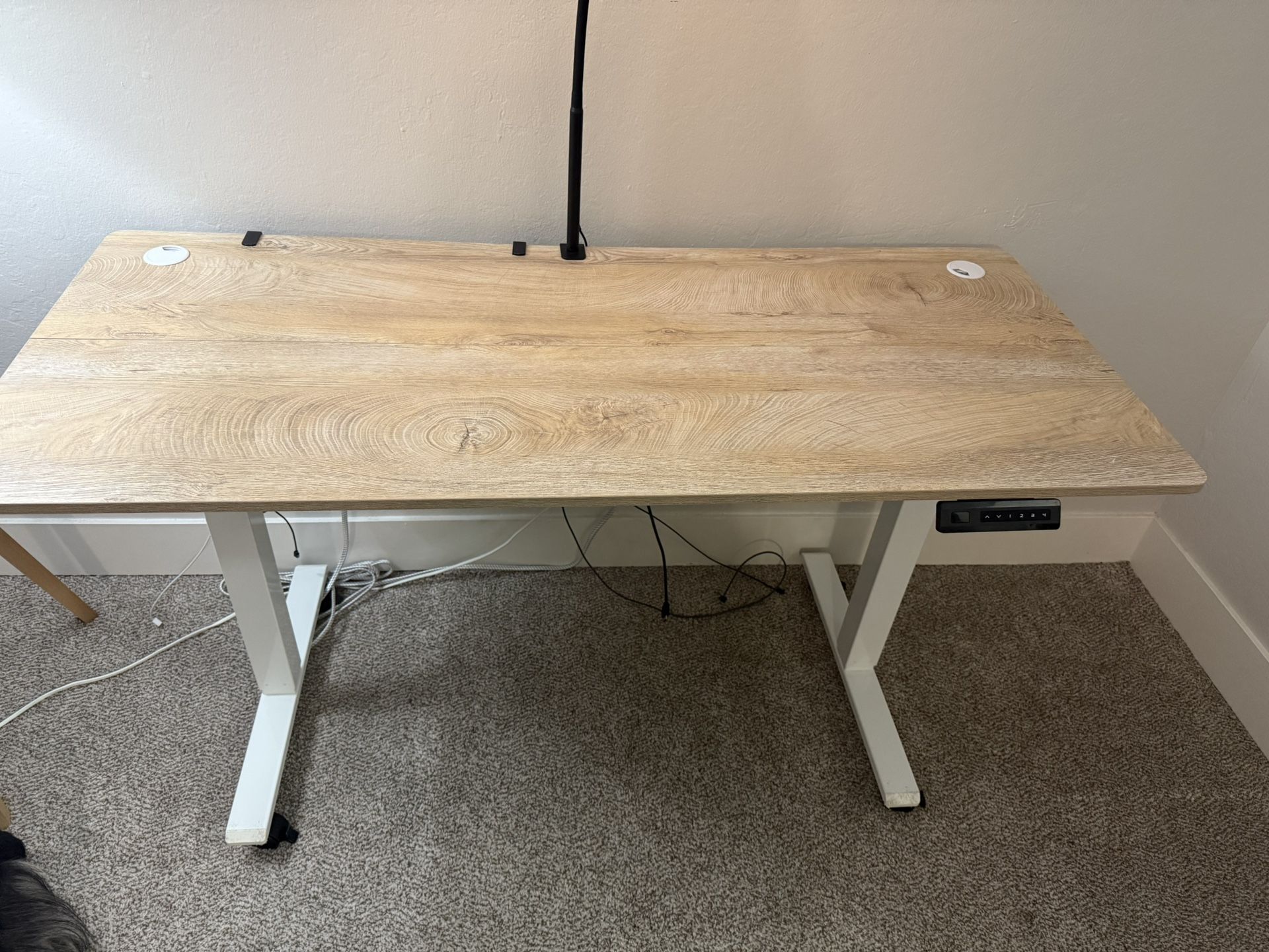 FEZIBO Electric Standing Desk – 55” x 24” | Maple & White | 4-Position Memory