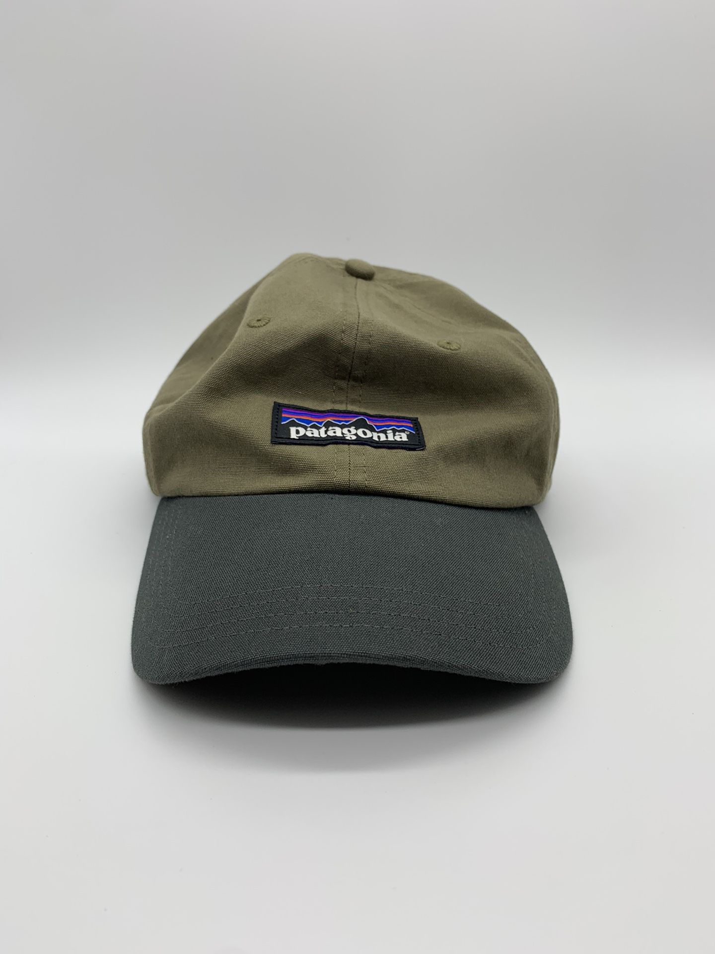 Patagonia strap back hat