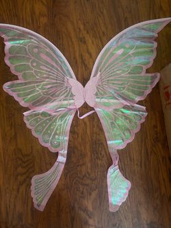Fairy butterfly wings