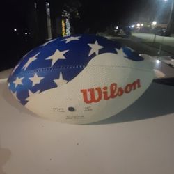 WILSON / VALVOLINE FOOTBALL 