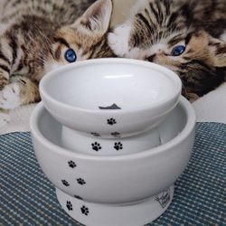 Two Bowl Cats  (Brand Neco-Ichi)