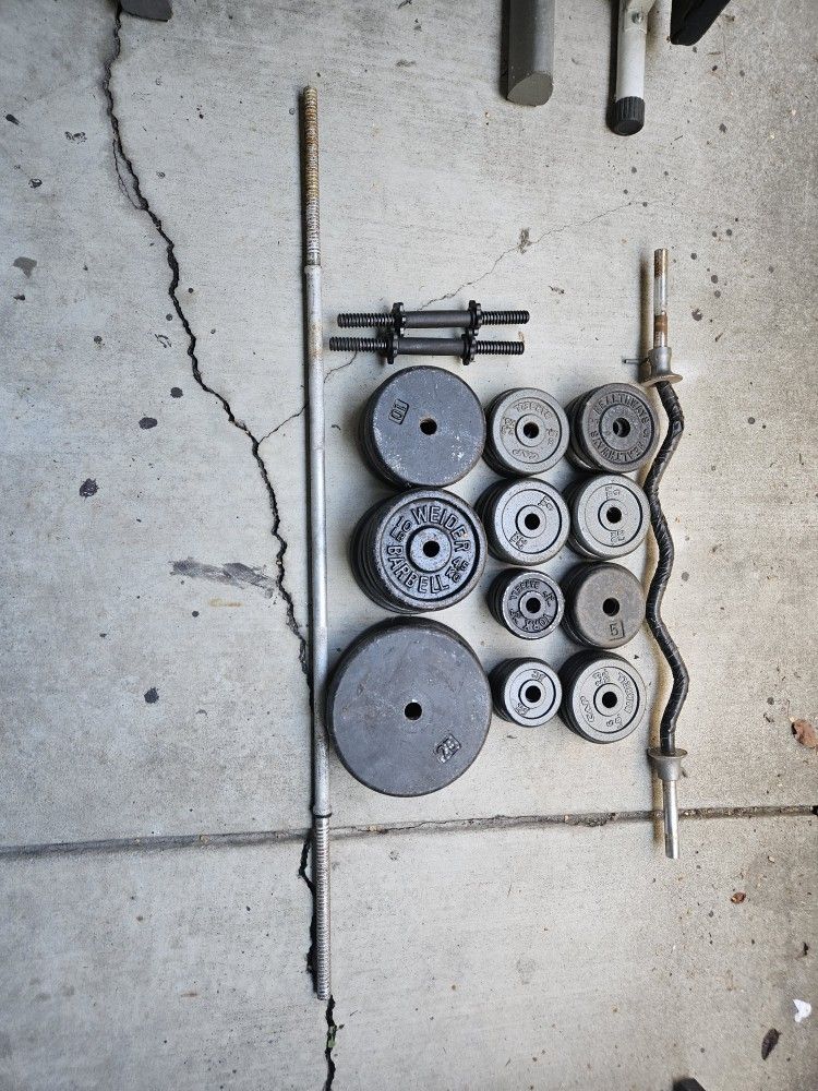 Weights And Bench