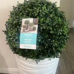 Outdoor Plant Ball