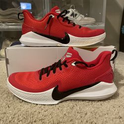 Size 11- Nike Kobe Mamba Focus