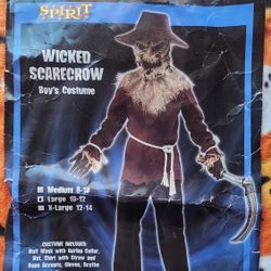 Wicked Scarecrow Halloween Costume ๐ Boy's Large 10-12