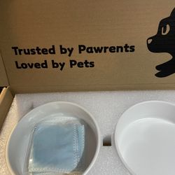 Spunky Junky Ceramic Dog Bowls