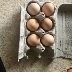 Eggs