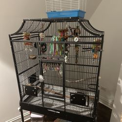 Bird Cage