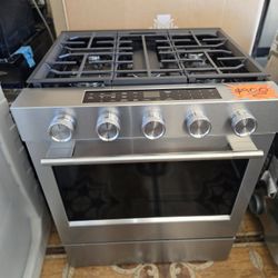 ChikenAid Stainles Steel Estufa De Gas 