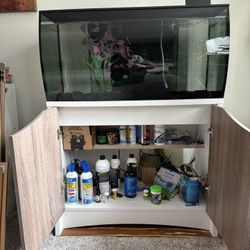 Large Fish Tank