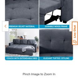 Couch With Pullout Bed.