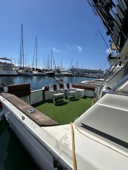 Sea Ray 39