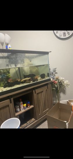 80 Gallon Fish Tank With Fish Tank Stand 