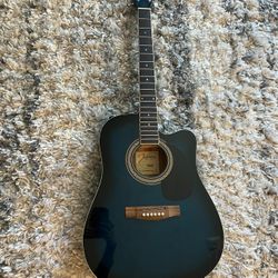 Acoustic Electric Guitar
